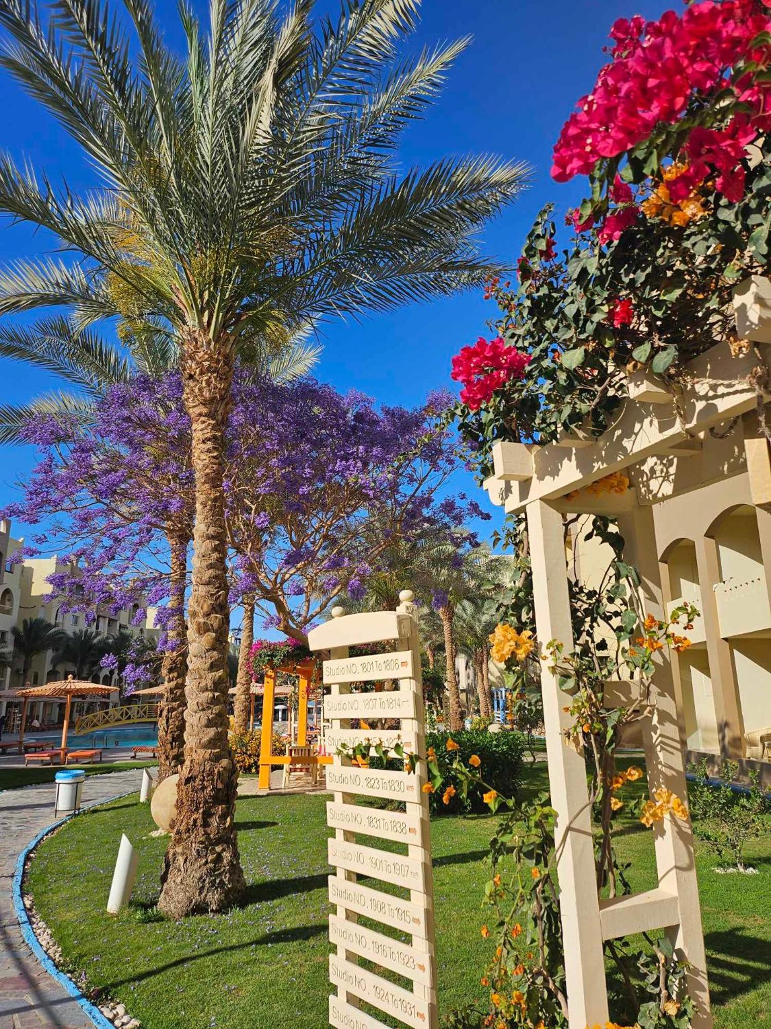 Comfortable Studio In Hotel Karma With Private Beach And Pools Family Only Or Female Hurghada Buitenkant foto